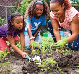 A mother and two teenagers plant tomatoes in an outdoor community garden project at the Upper Main Line YMCA in Berwyn, PA