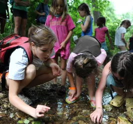 Students participate in an Upper Main Line YMCA Summer Camp exploring nature and the creek on the Y's Berwyn property.