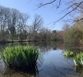 The Cassat Pond on 54 acre campus at the Upper Main Line YMCA in Berwyn PA