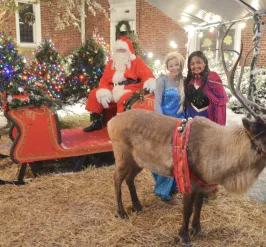 Santa, Reindeer, Elsa and Anna