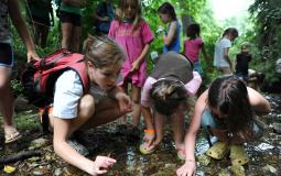 Students participate in an Upper Main Line YMCA Summer Camp exploring nature and the creek on the Y's Berwyn property.