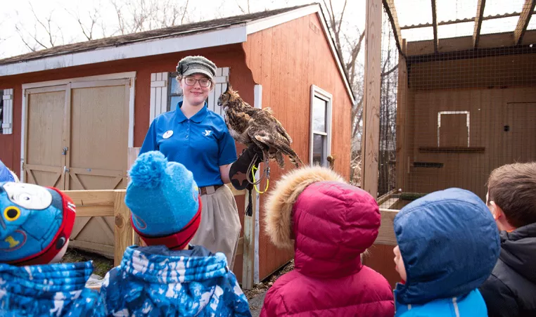 A YMCA employee hosts a demonstration with an Owl at the Upper Main Line YMCA Environmental complex in Berwyn, PA.